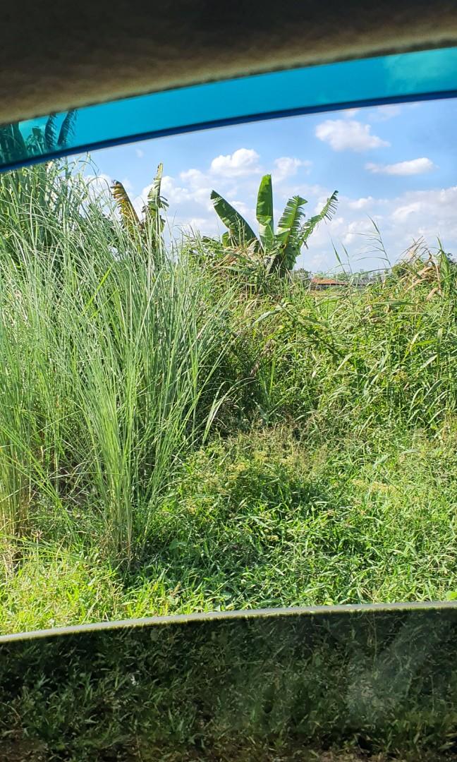 12 hectares land for sale in Concepcion Tarlac Philippines, Property