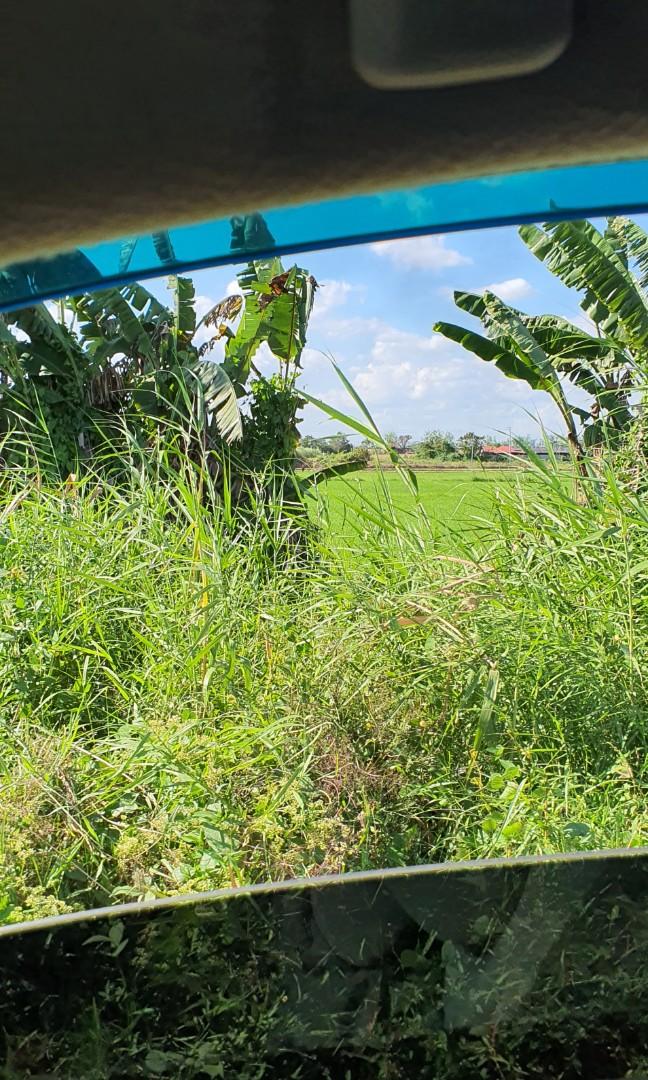 12 hectares land for sale in Concepcion Tarlac Philippines, Property