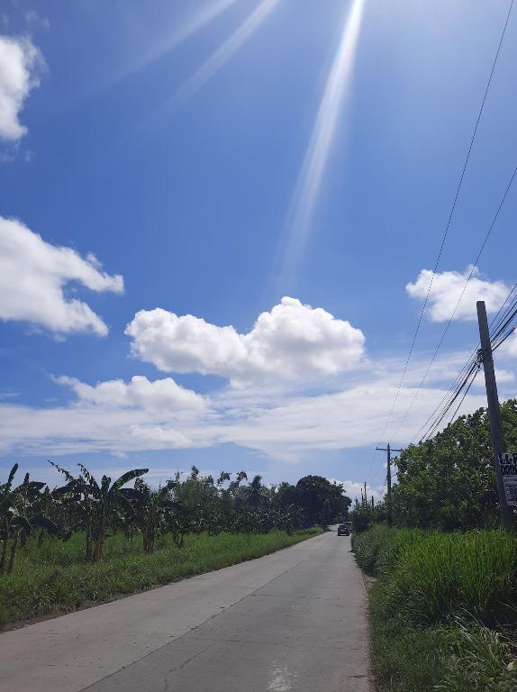 9,379 sqm Lot at Barangay Cabug, Bacolod City, Negros Occidental