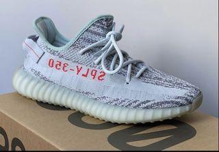 zebra blue tint