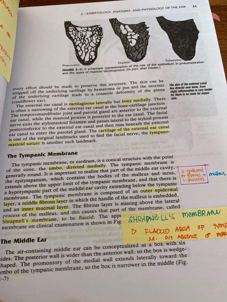 Boies Fundamentals of Otolaryngology 6e Hobbies Toys Books Boies Fundamentals of Otolaryngology 6e Hobbies Toys Books