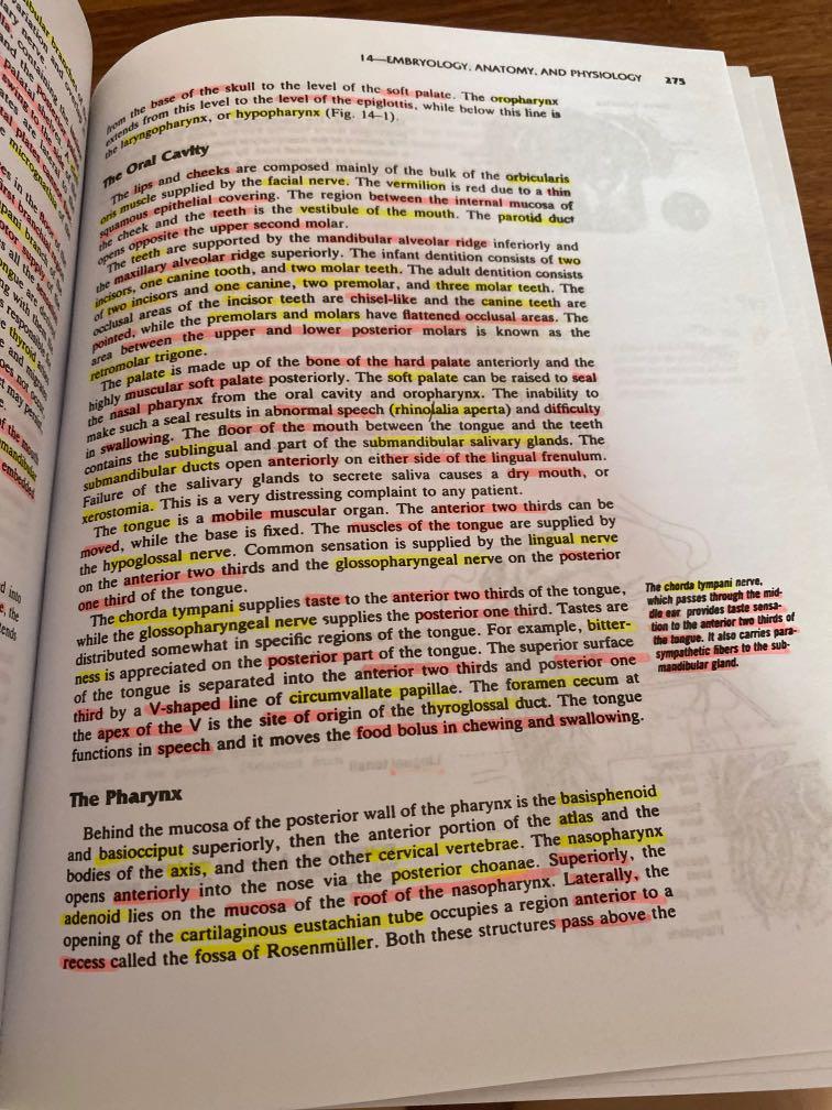 Boies Fundamentals of Otolaryngology 6e Hobbies Toys Books Boies Fundamentals of Otolaryngology 6e Hobbies Toys Books