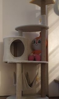 (Category: ) located in . Submitted by onyx421 (Listing ID 1150920694, Image 1). Description: .