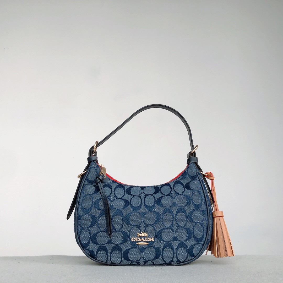Coach hobo new arrivals signature bag