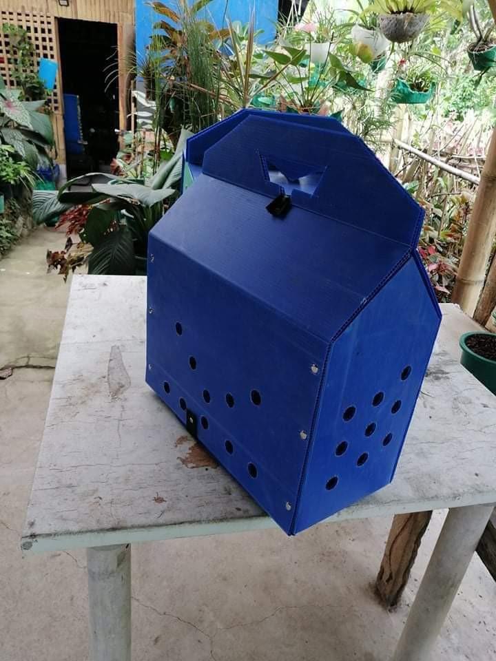 Derby box cheap