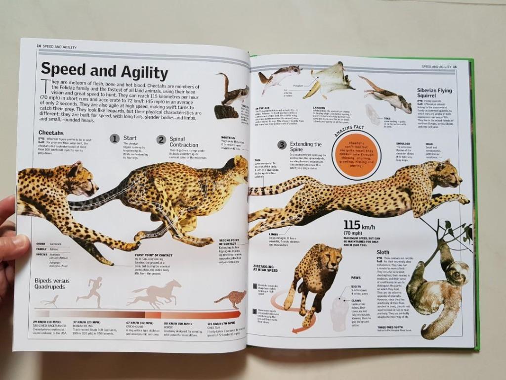 Discovery Kids - Animals, Hobbies & Toys, Books & Magazines, Children's  Books on Carousell