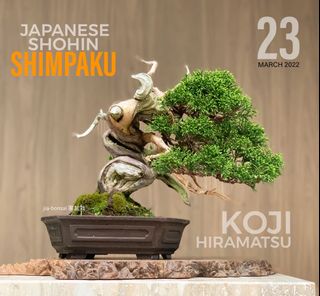 (Category: ) located in . Submitted by jia_bonsai_singapore (Listing ID 1150826276, Image 1). Description: .