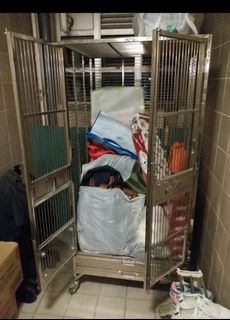 （分類：）位於 。 由 petpetfull 提交（商品編號 1150856250，圖片 1）。簡介： 。