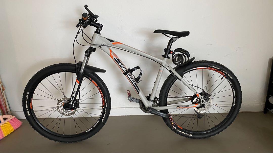Polygon xtrada 5.0 hotsell 650b 2017