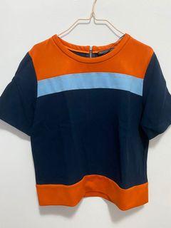 Zara Boxy Top