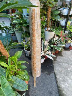 Coco pole 3ft (Bamboo base)