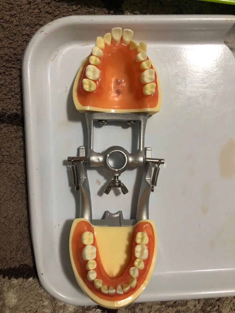 Dental Oral surgery Typodont Jaw Articulator OS typo articulator, Health & Nutrition, Medical