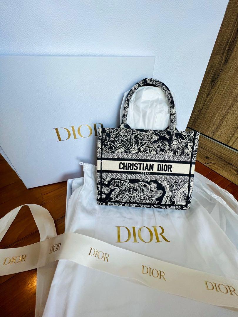 Christian dior book best sale tote small
