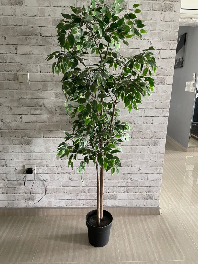 Ikea faux plant Fejka, Furniture & Home Living, Home Decor