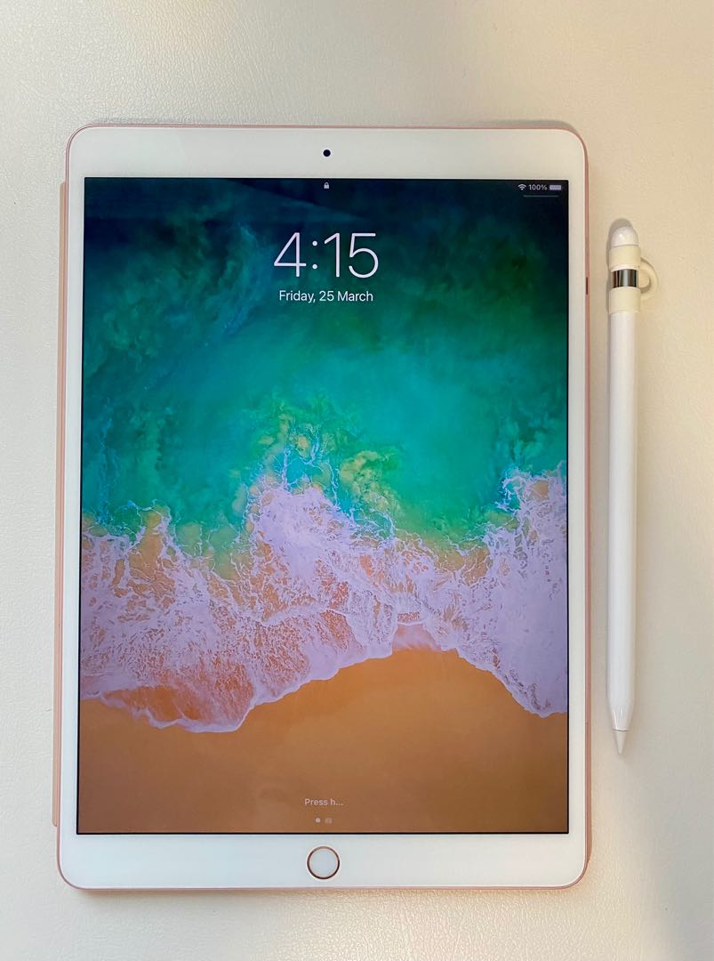 iPad Pro 10.5インチ WiFi 256GB Applepencil付