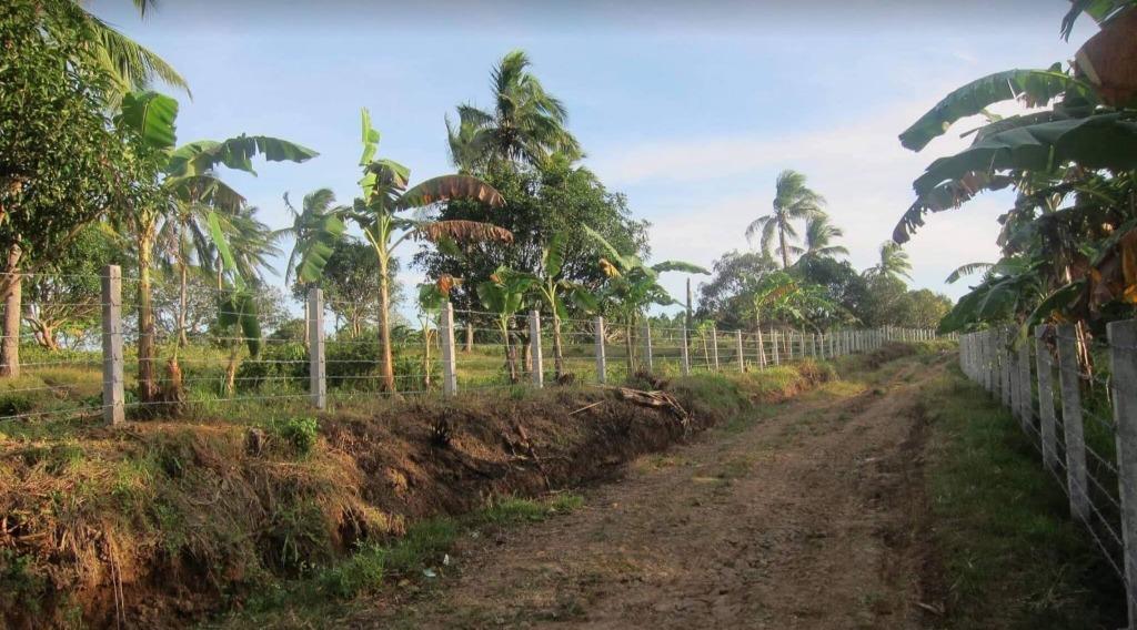 MEO FOR SALE 5,761 sqm Agricultural Lot in Pantihan IV Maragondon