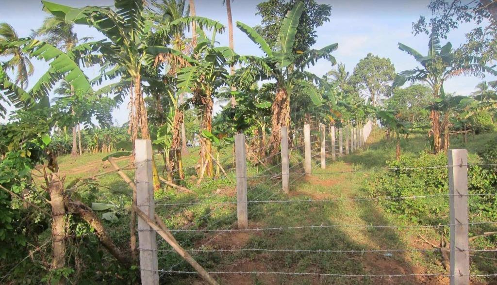 MEO FOR SALE 78,151 sqm Agricultural Lot in Pantihan IV Maragondon