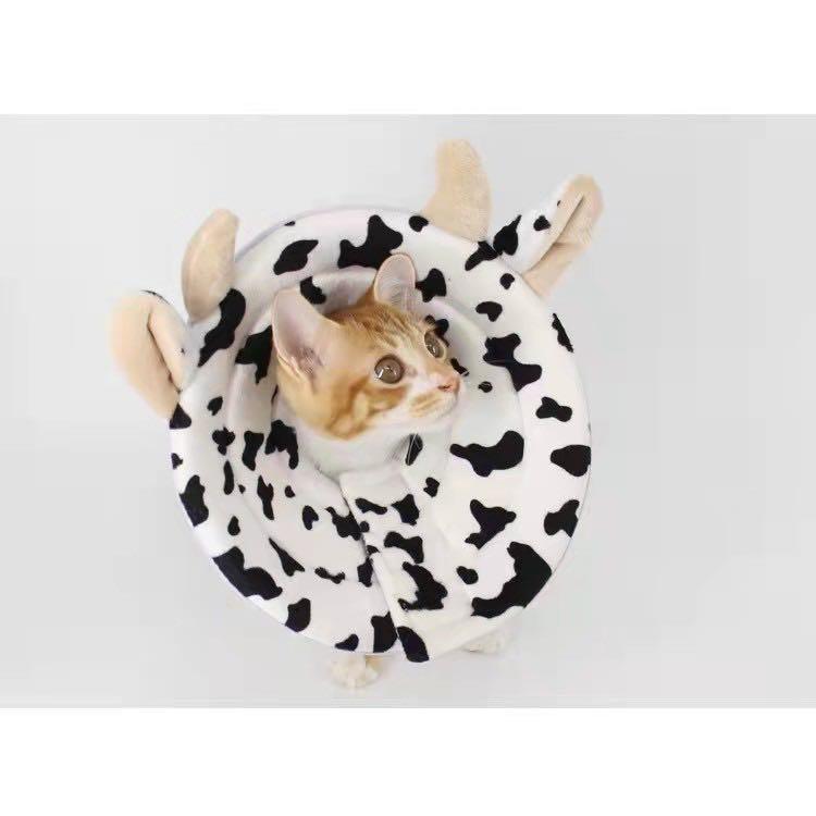 Fabric store cat cone