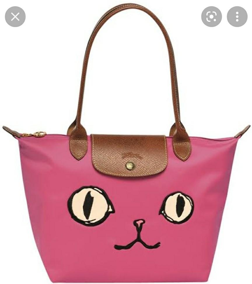 Price Longchamp Meow Tote Longchamp Le Pliage Red Nylon And Brown