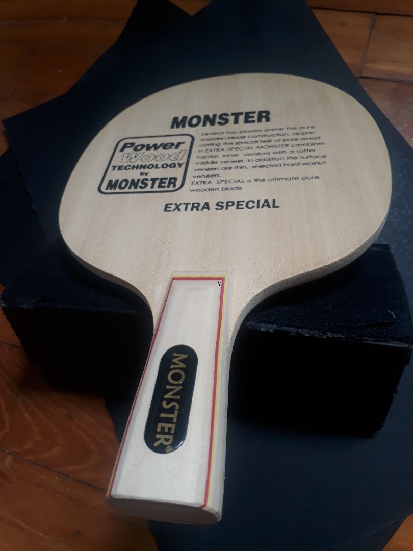 Table tennis Blade (beginner Fun), Sports Equipment, Other Sports