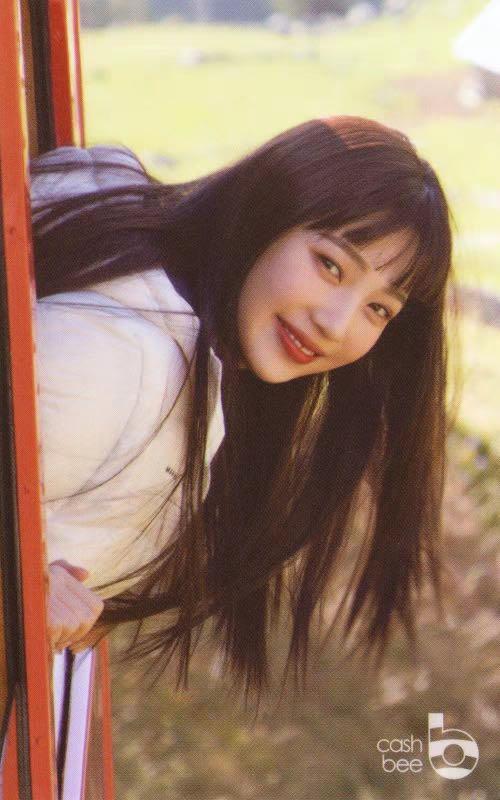 WTB/LFS) Red velvet Joy Switzerland cashbee, Hobbies & Toys 