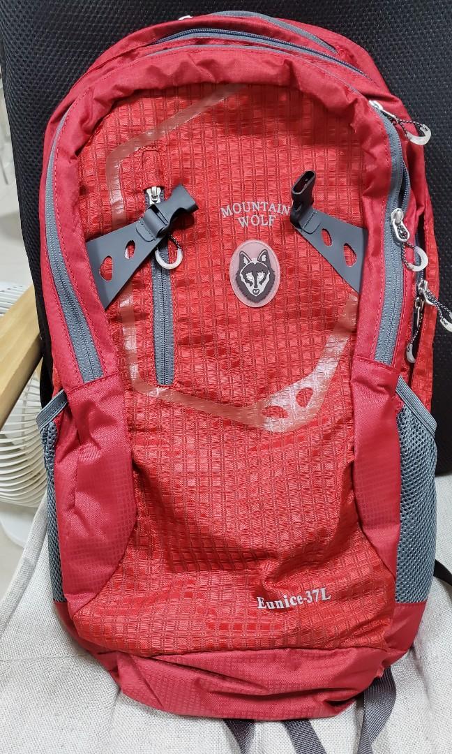 全新 背囊 mountain wolf backpack, 女裝, 手袋及銀包, 背囊 Carousell