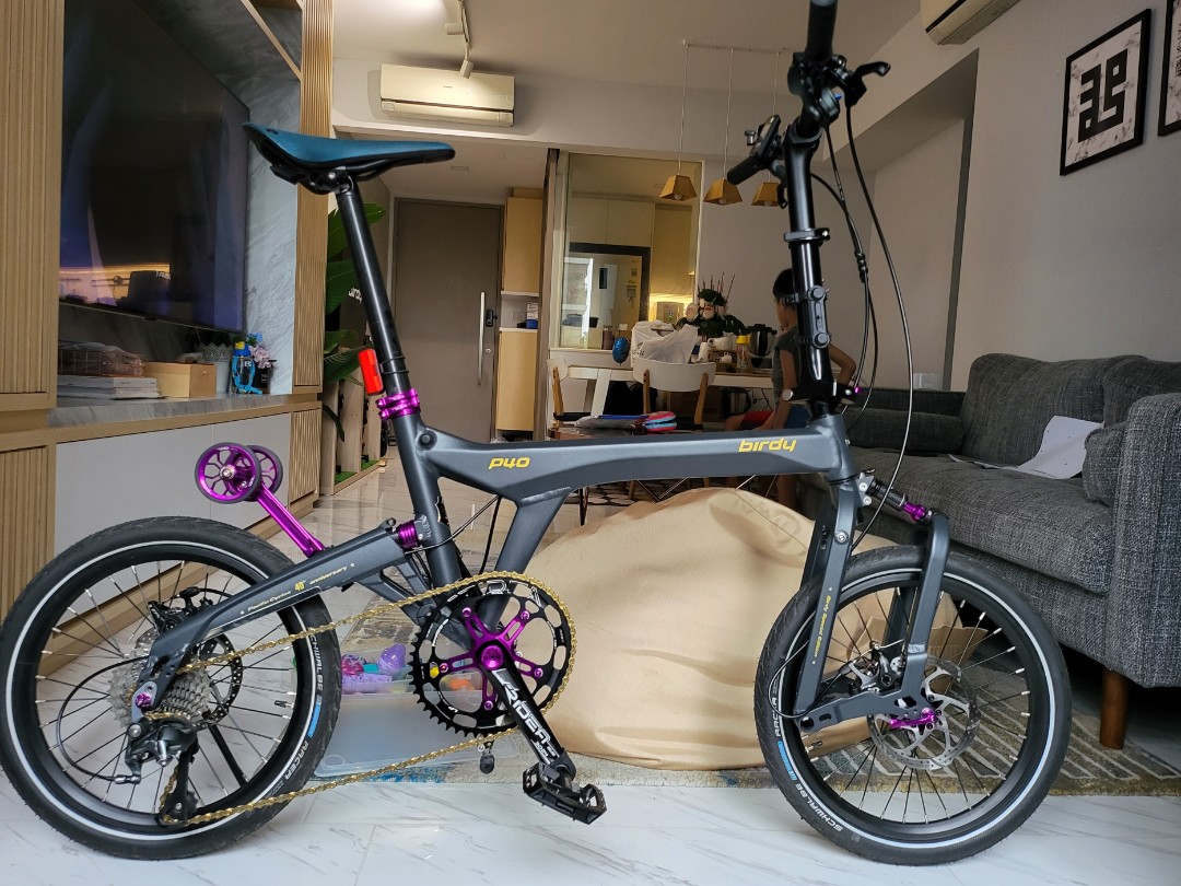 Birdy P40 Limited Edition Sports Equipment Bicycles Parts