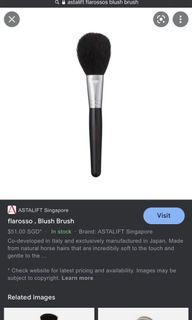 BN Made in Japan Astalift Natural Hair Blush Brush