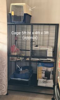 (Category: ) located in . Submitted by quickflower.6854b0 (Listing ID 1151409608, Image 1). Description: .