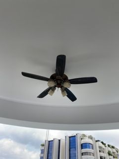 (Category: ) located in . Submitted by linennmore (Listing ID 1151459296, Image 1). Description: .