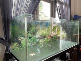 (Category: ) located in . Submitted by kkchew (Listing ID 1151417088, Image 1). Description: .