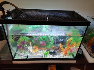(Category: ) located in . Submitted by methmalrosa (Listing ID 1151572666, Image 1). Description: .
