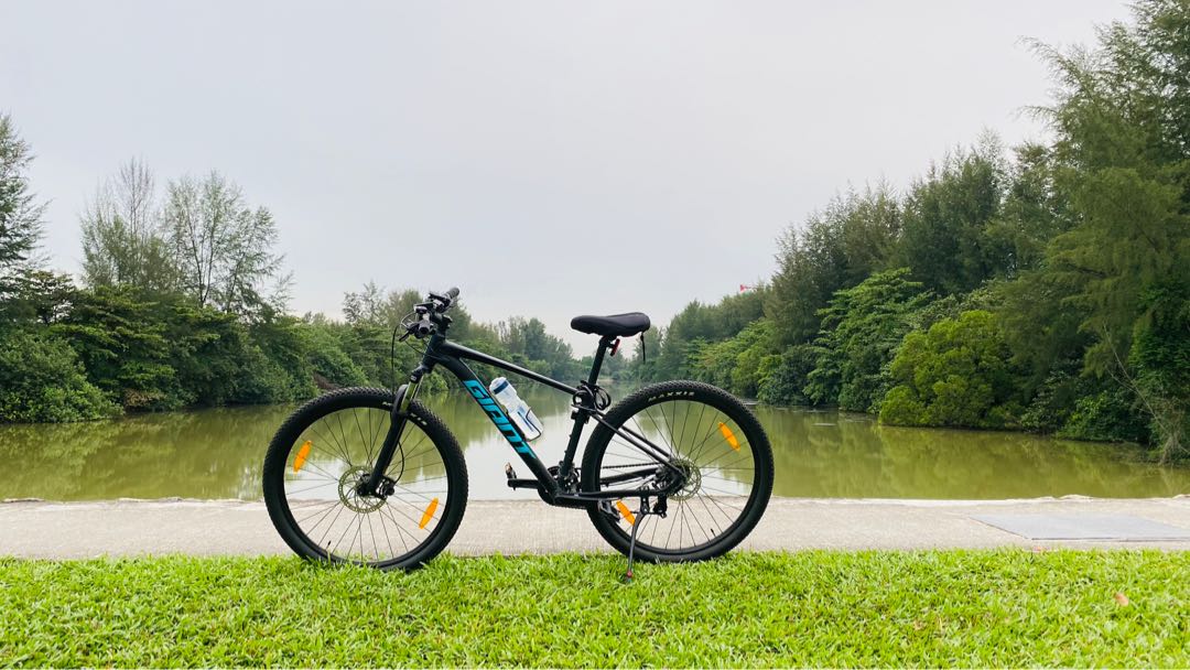 Giant Talon 3 2021, 29” for sale 