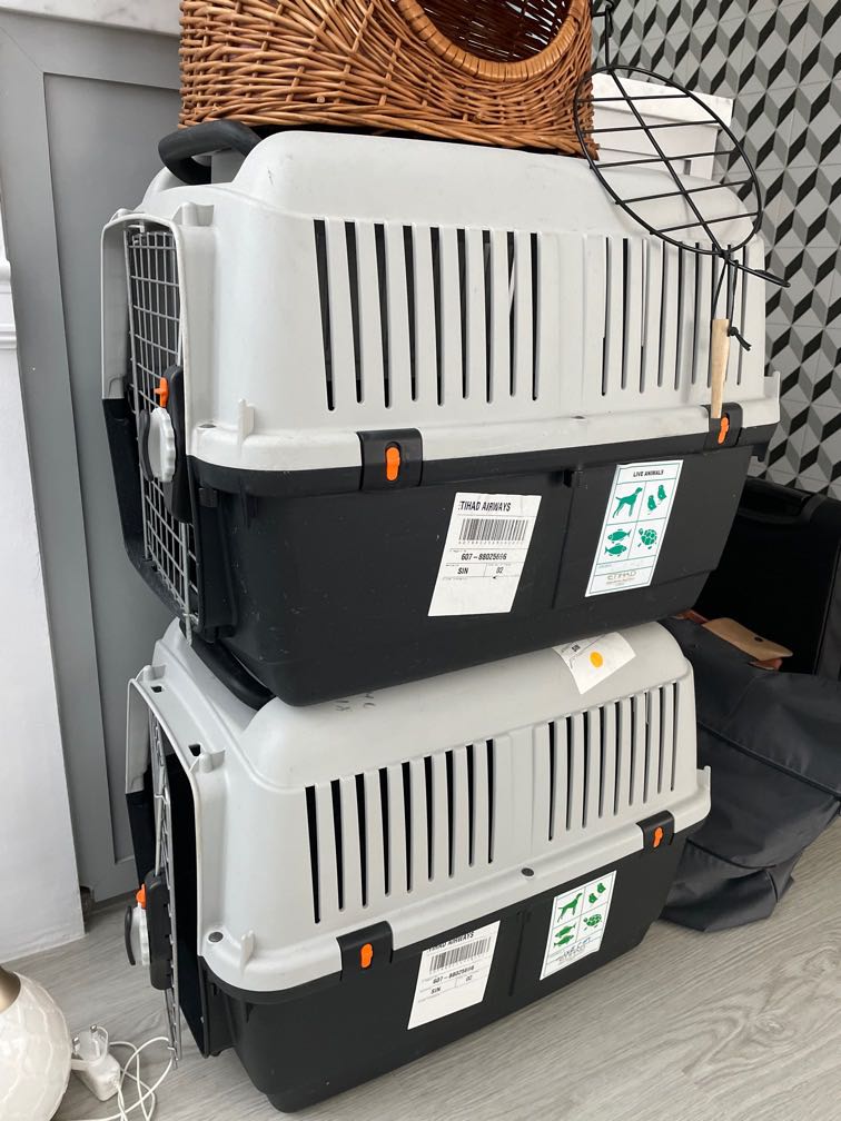 IATA Approved pet carrier in large size, Pet Supplies, Homes & Other