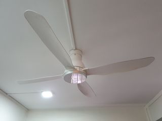(Category: ) located in . Submitted by byteblorg (Listing ID 1151491206, Image 1). Description: .