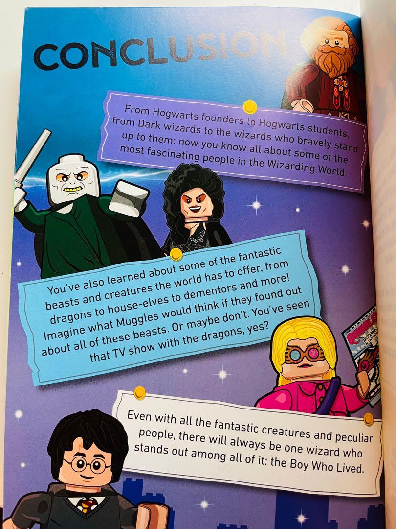Lego harry potter witches 2025 and wizards character handbook