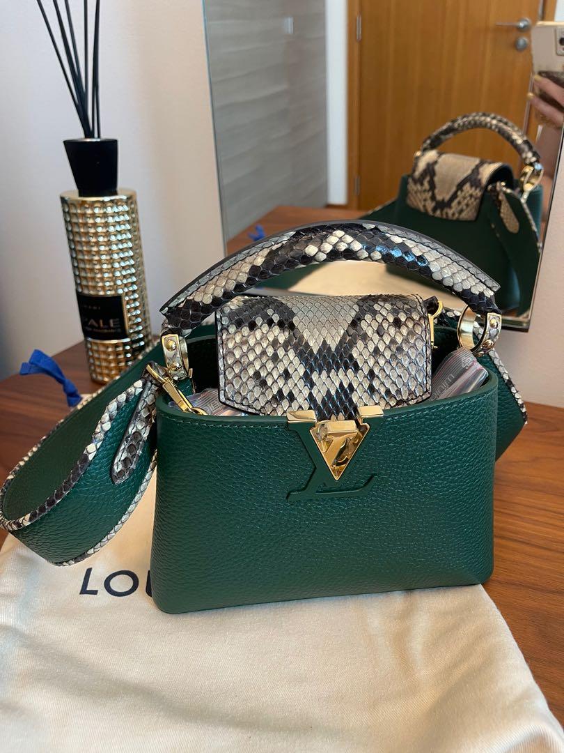 LOUIS VUITTON PYTHON MINI CAPUCINES BAG – Caroline's Fashion Luxuries