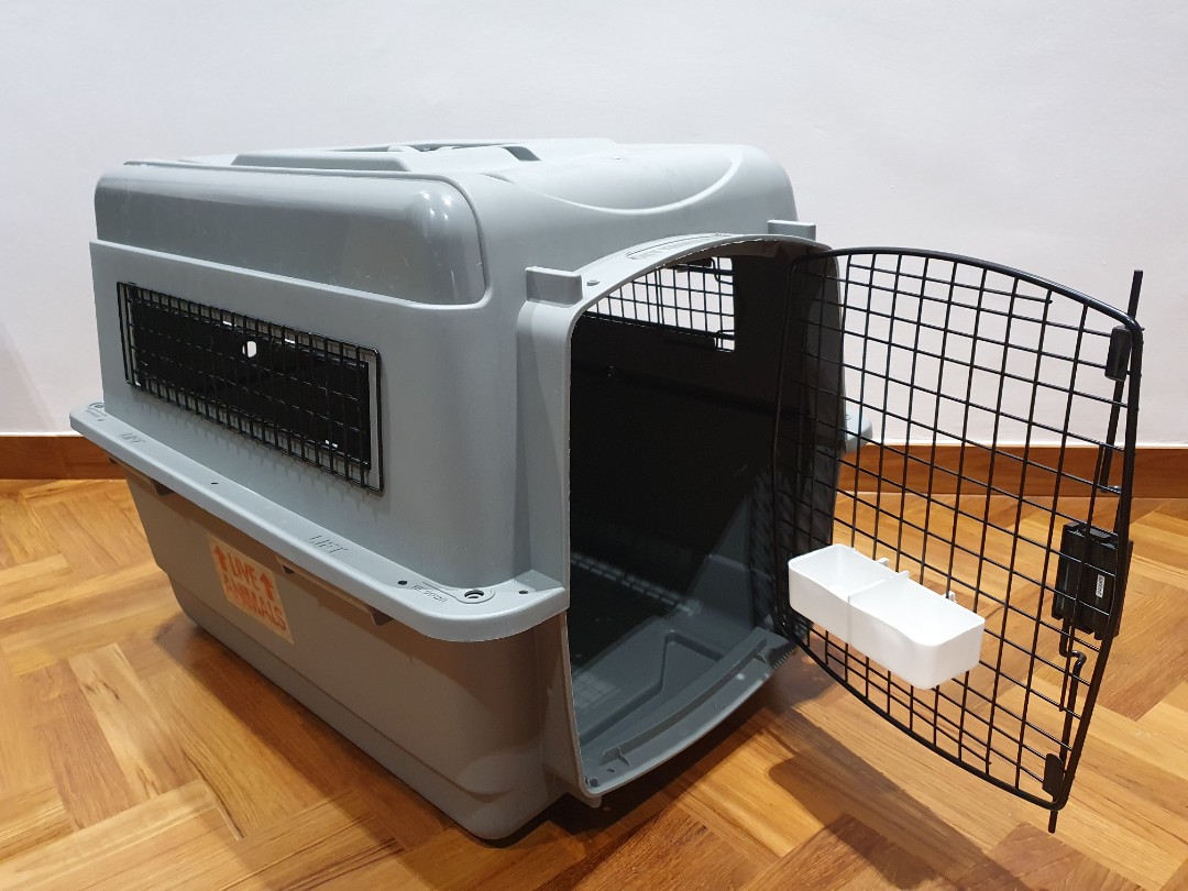 Pet Cargo Carrier (IATA Standard), Pet Supplies, Homes & Other Pet