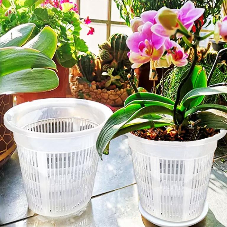 Transparent Plastic Flower Pot Succulent Orchid Mesh Pot 10 12 15cm Garden Decor
