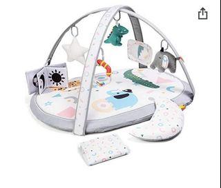 Baby’s Play Mat /Activity gym