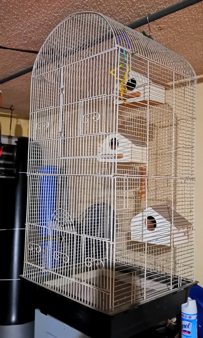 maxi zoo bird cages