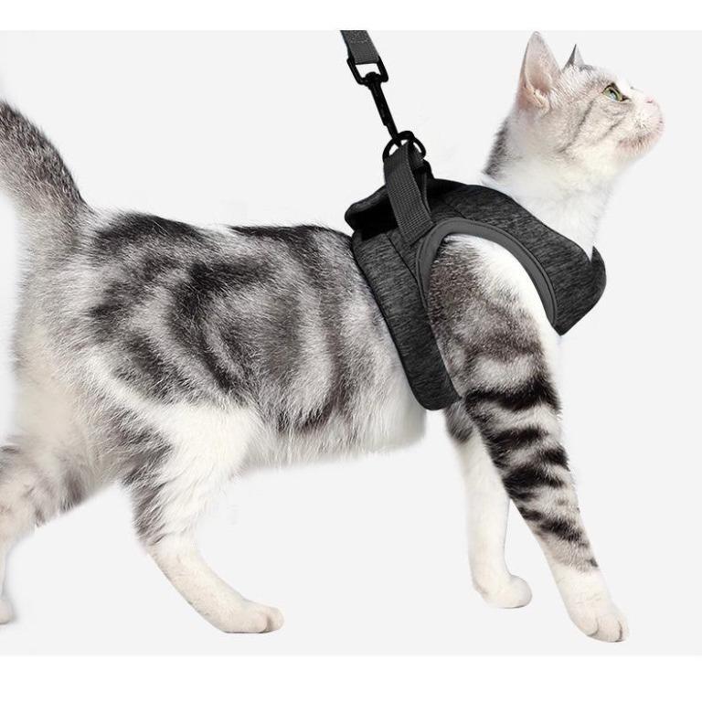 Cat Harness And Leash Set Ultra Light For Walking Escape Proof Set Adjustable Soft Mesh Step in Padded Cushioning Running Vest Jacket For Kitten Pets Puppy