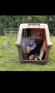 (Category: ) located in . Submitted by pawfectchews (Listing ID 1151718894, Image 1). Description: .