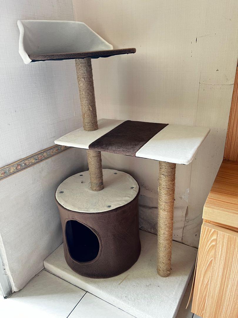 Harga cat deals condo