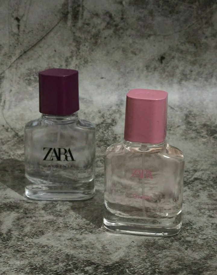 Zara gardenia shop dan orchid