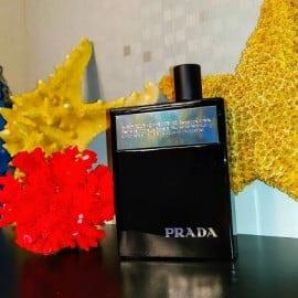 Prada best sale amber intense