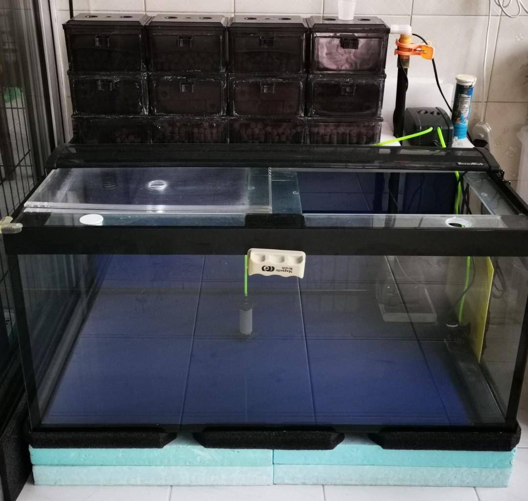3ft fish tank for sales, Sports Equipment, Fishing on Carousell