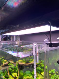 （分類：）位於 。 由 marstam 提交（商品編號 1151920312，圖片 1）。簡介： 。