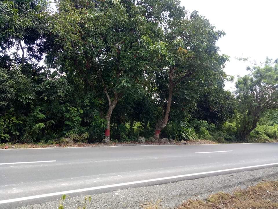 Farm Lot in Amadeo Cavite, Property, For Sale, Lot on Carousell