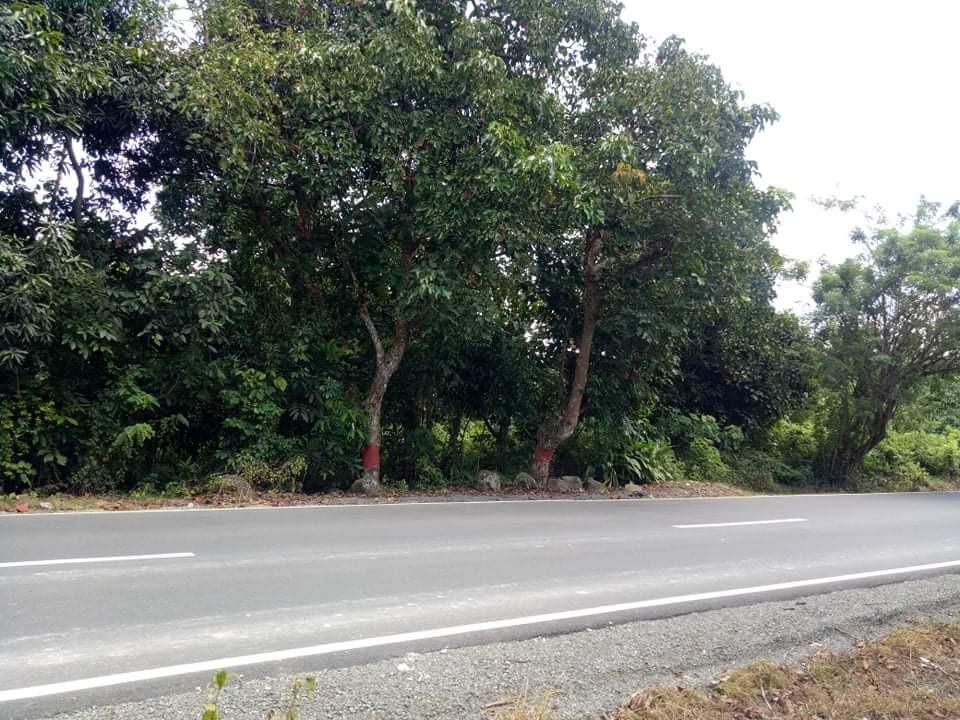 Farm Lot in Amadeo Cavite, Property, For Sale, Lot on Carousell